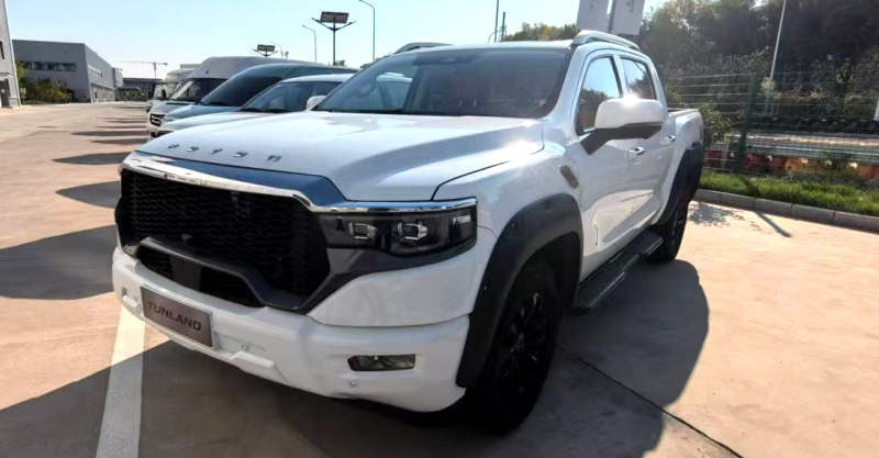 The Ultimate Buying Guide for the Foton Tunland V9: Which Color and Configuration Suits You Best?cid=115