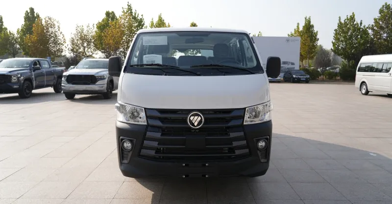 Foton View C2 Flat Roof Cargo Van - 2 Seater LHD