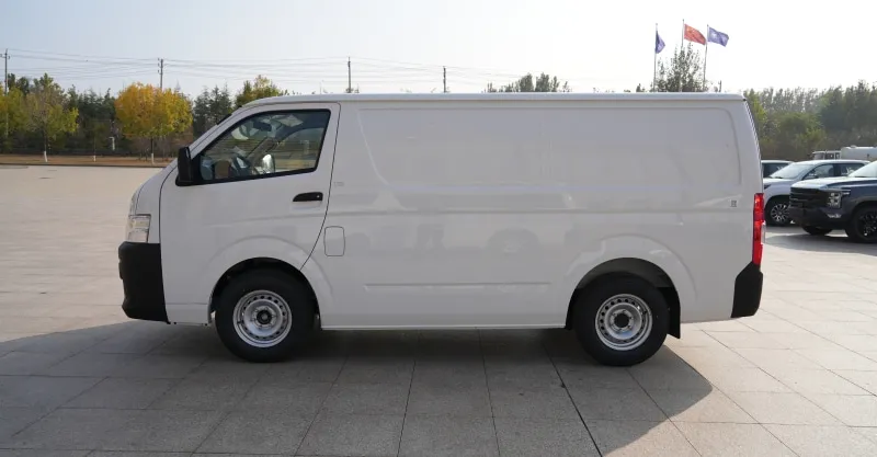 Foton View C2 Flat Roof Cargo Van - 2 Seater LHD
