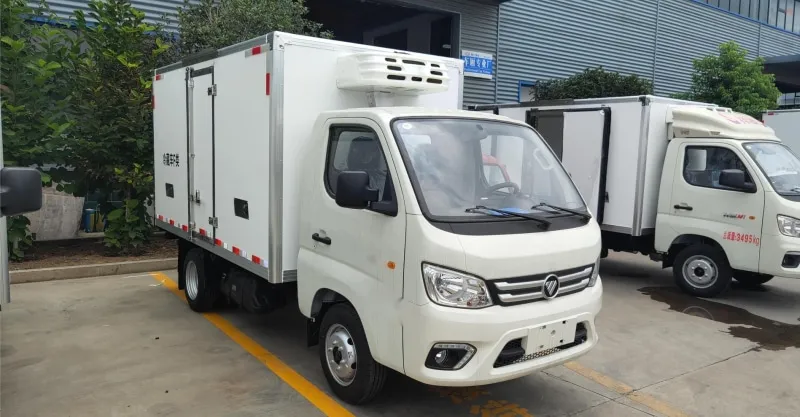 Foton Truck Mate Single Cabin Refrigerator Truck | Reliable Cold Chain