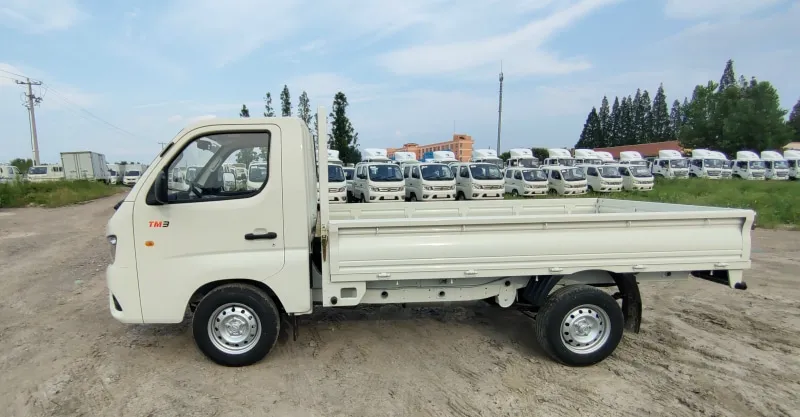 Foton Truck Mate TM1 Single Cab | 1.5L Mini Cargo Truck for Urban Logistics