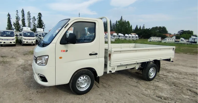 Foton Truck Mate TM1 Single Cab | 1.5L Mini Cargo Truck for Urban Logistics