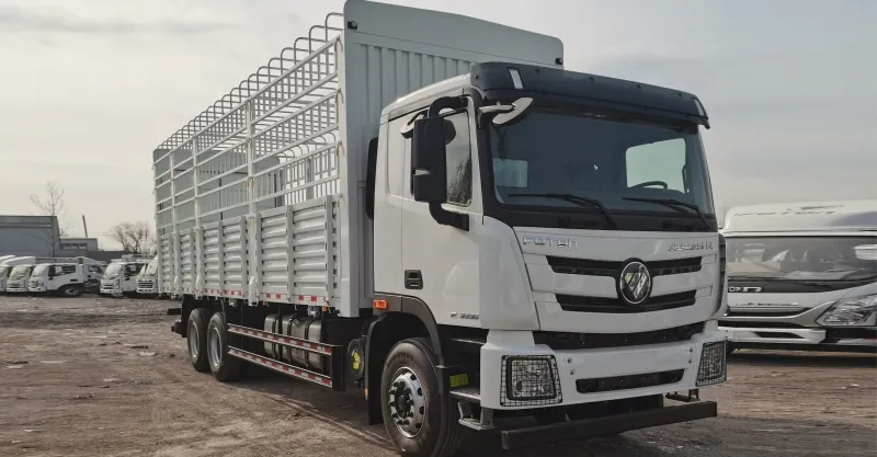 Foton Heavy-Duty Stake Truck: Versatile & Breathable Cargo Transport